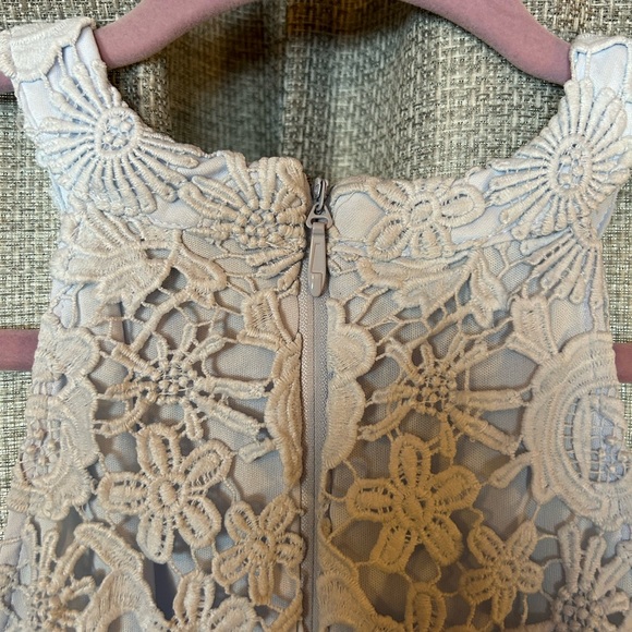 Elegant Lace Dress - Picture 4 of 5